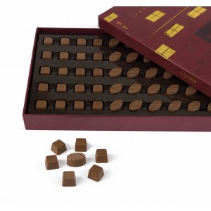 بوكس لافاشي الرياض